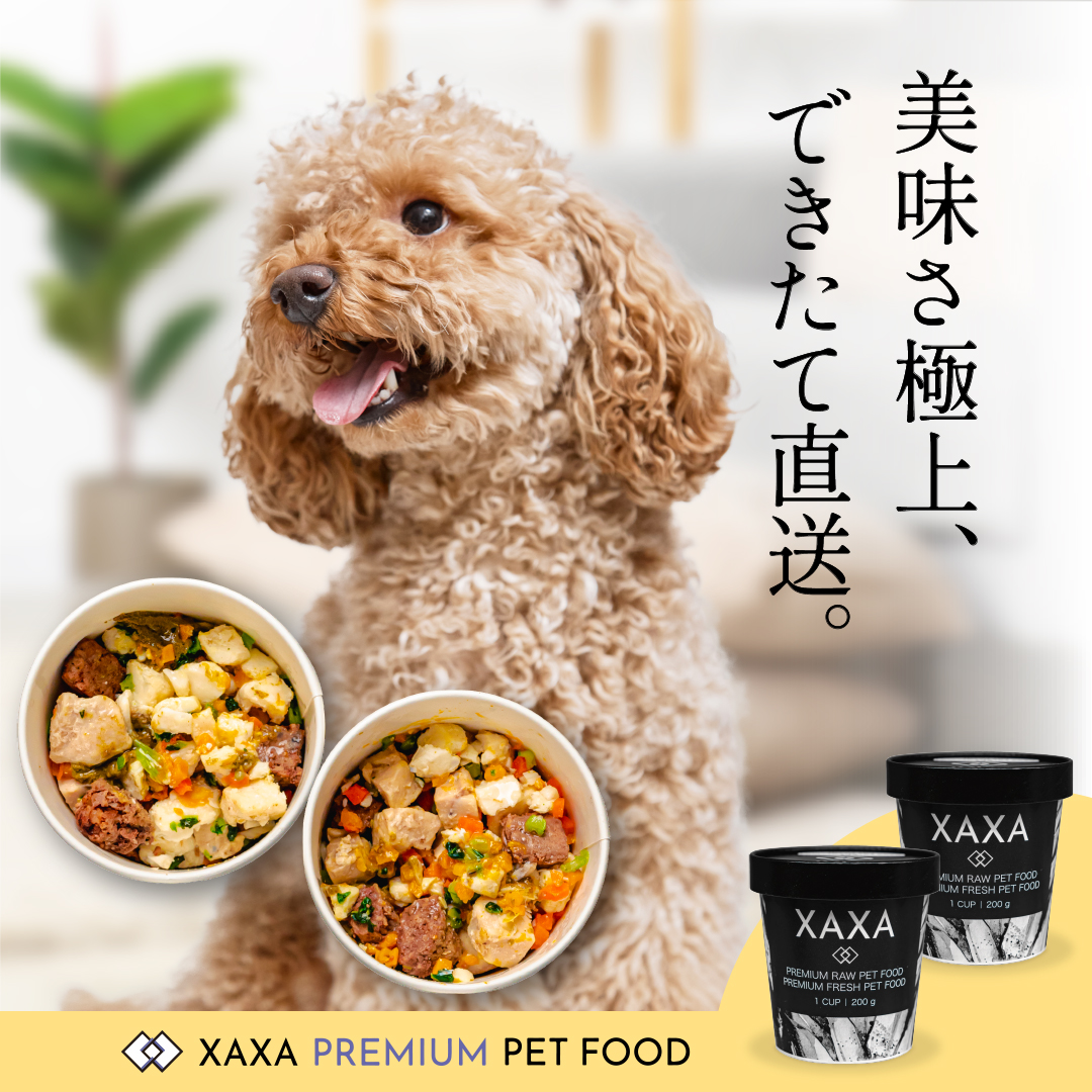 ペットフードバナー画像