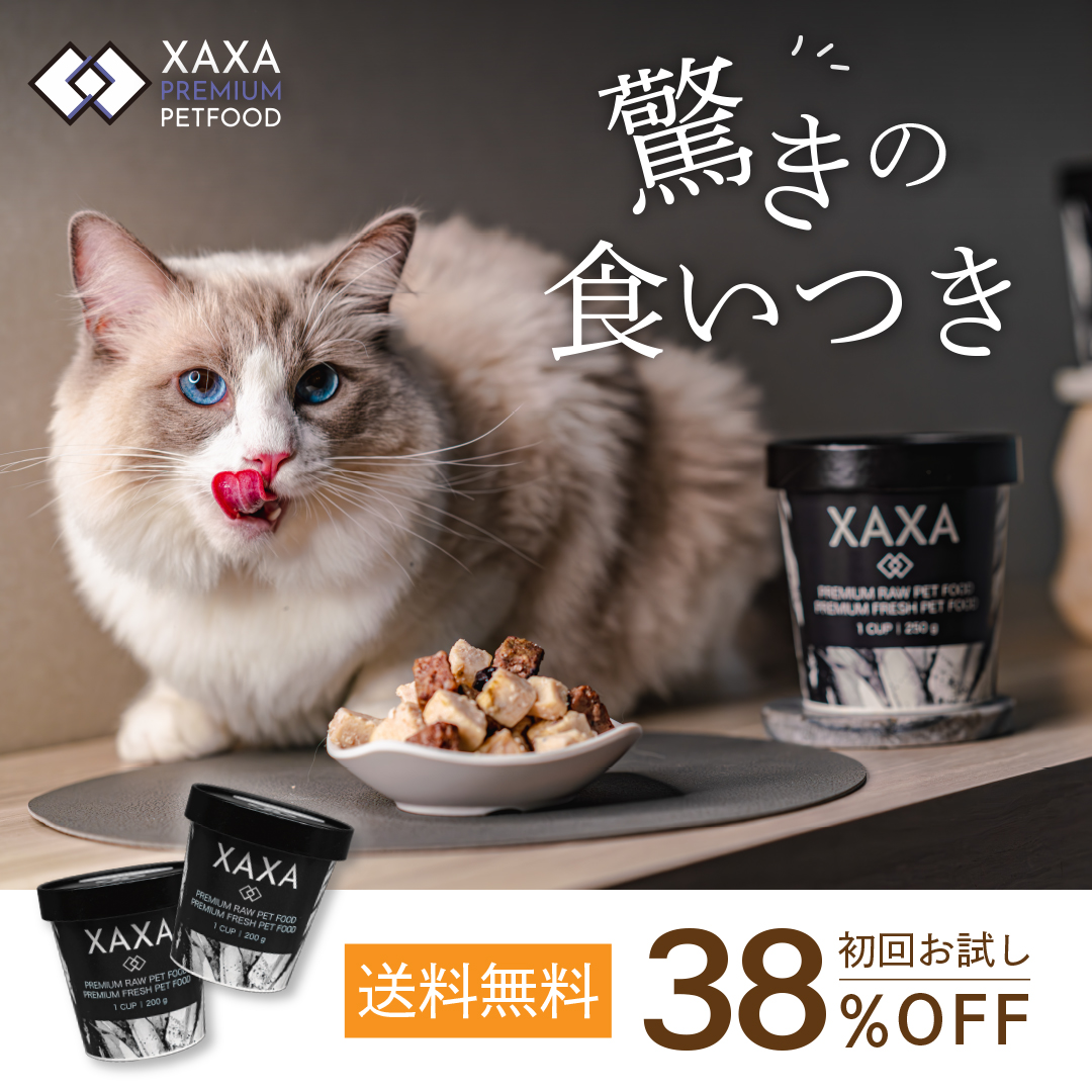 キャットフード